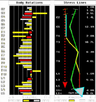 graphical spine map