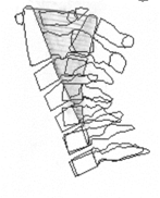 sagittal plane analysis